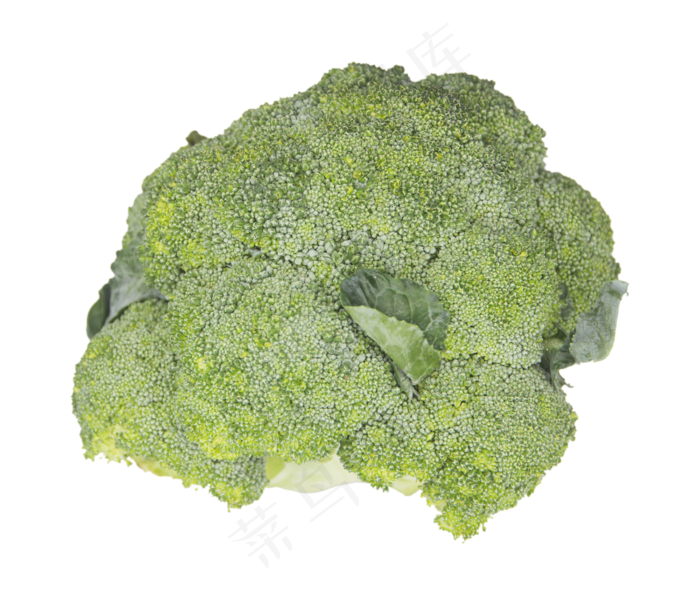 绿色有机蔬菜花菜