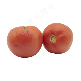 新鲜西红柿蔬菜