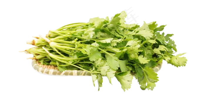 绿色青菜香菜(4000*2000px 300 dpi )