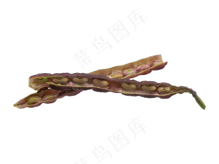 立秋豆角(3000X3000(DPI:300))