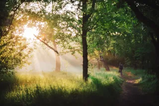 早晨的阳光下，这个人在公园里散步。日出时人的倒影。太阳光和镜头在复印空间中闪烁。模糊的阳光背景。夕阳下，明亮的阳光透过树叶照进来。模糊的背景