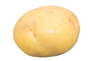 一个黄色土豆