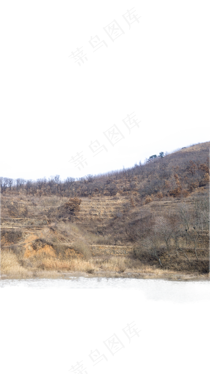 树林秋色北方荒野(1500X2666(DPI:300))psd模版下载