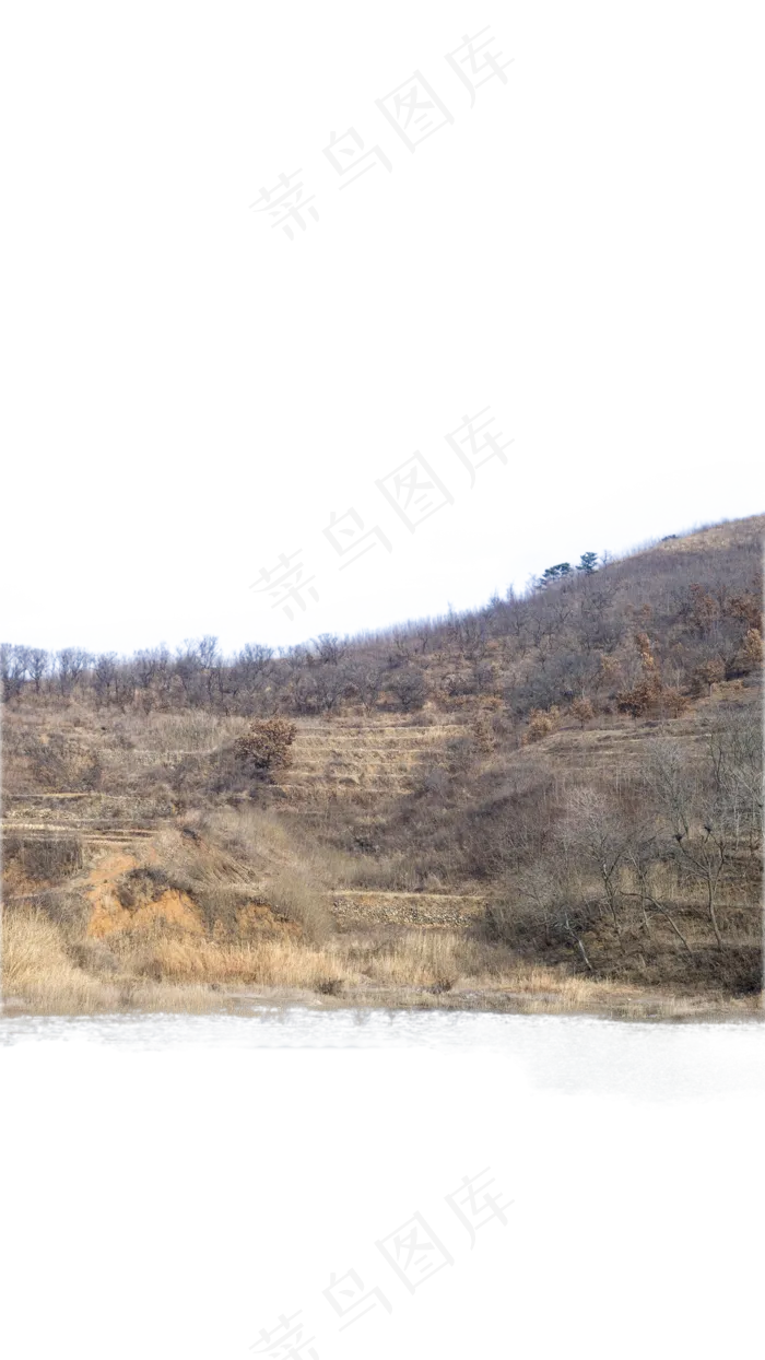 树林秋色北方荒野(1500X2666(DPI:300))psd模版下载