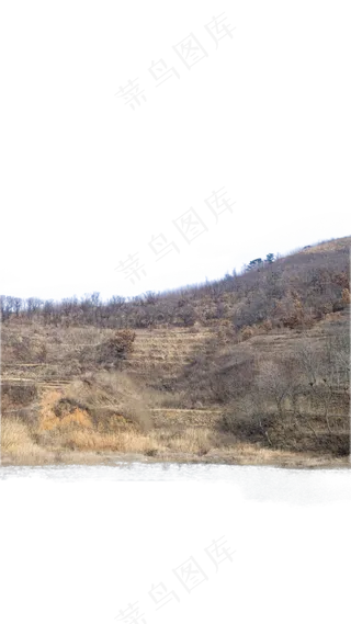 树林秋色北方荒野