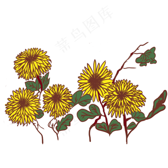 手绘矢量卡通重阳节菊花(3000X3000(DPI:762))psd模版下载