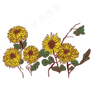 手绘矢量卡通重阳节菊花