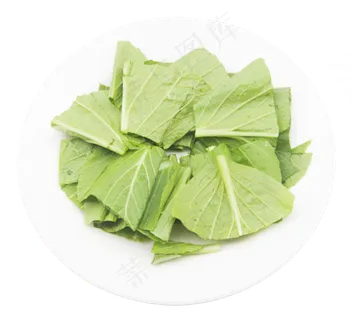 绿色蔬菜油麦菜 绿色蔬菜油麦菜