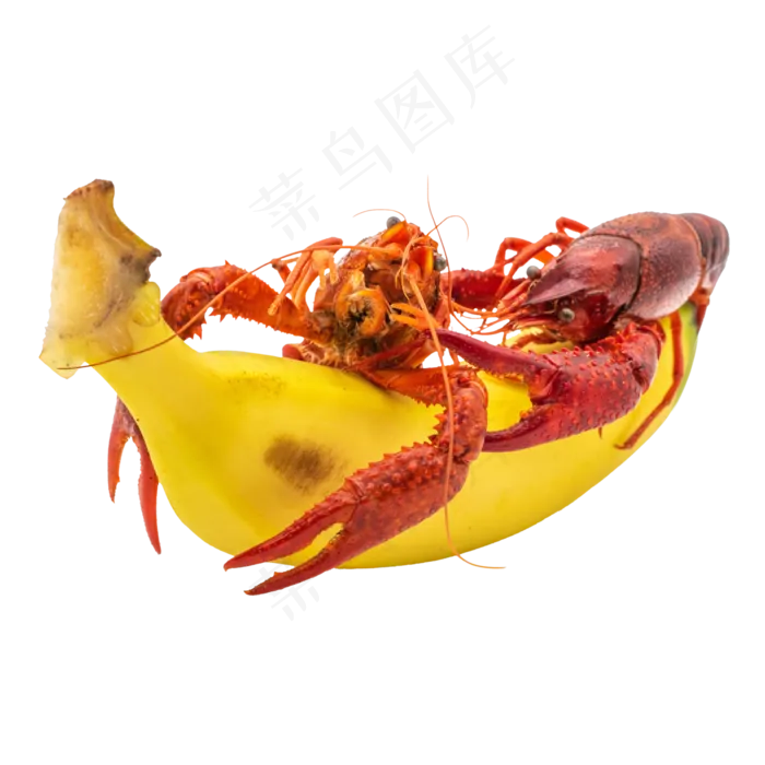 龙虾香蕉水果(3000*3000px 300 dpi )
