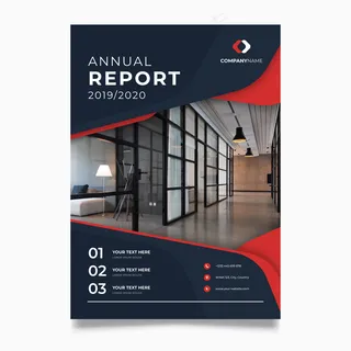 带照片的摘要年报模板