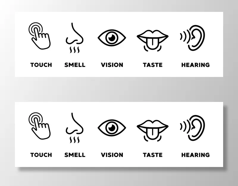 五种感官矢量图标设置。视觉、听觉、触觉、味觉、嗅觉eps,ai矢量模版下载