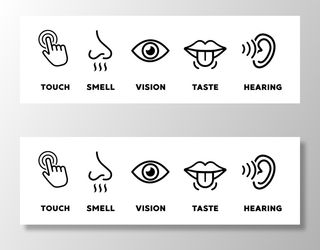 五种感官矢量图标设置。视觉、听觉、触觉、味觉、嗅觉