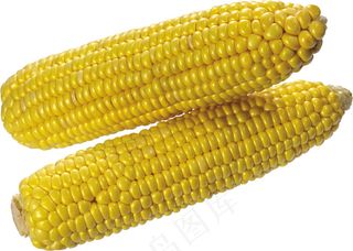 玉米 蔬菜