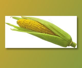 玉米 蔬菜