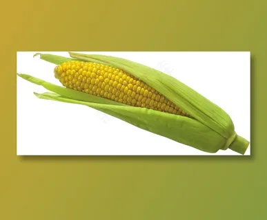 玉米 蔬菜 玉米 蔬菜