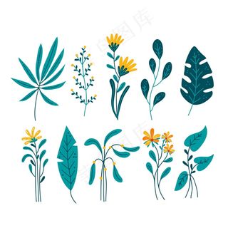 白色背景上叶孤立的热带花