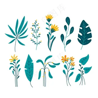 白色背景上叶孤立的热带花