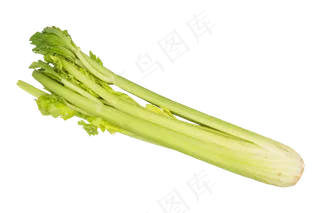 绿色蔬菜芹菜