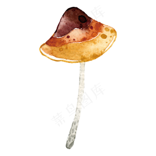 秋天雨后水彩蘑菇