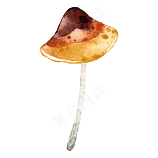 秋天雨后水彩蘑菇