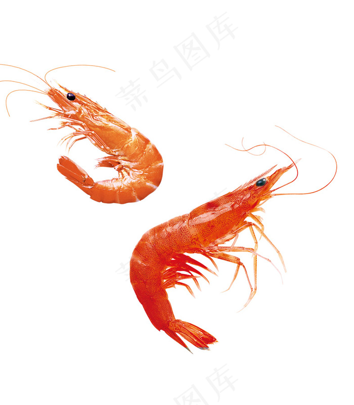 龙虾 小龙虾psd模版下载