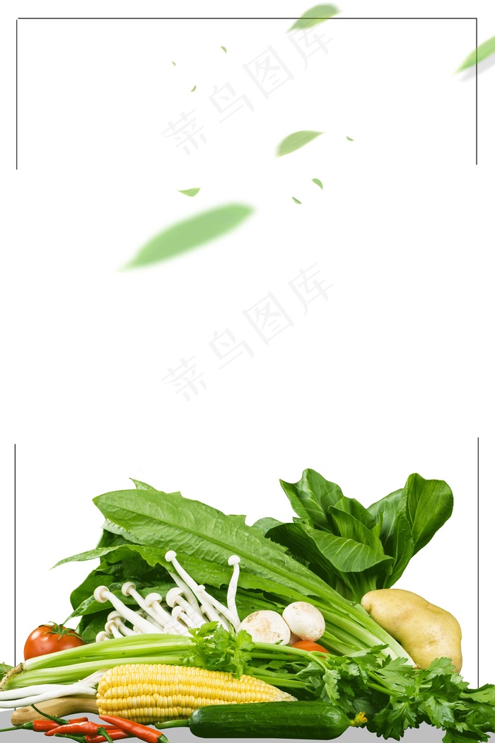 新鲜有机蔬菜设计(3545*5315px 	      )psd模版下载