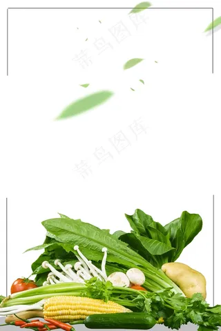 新鲜有机蔬菜设计