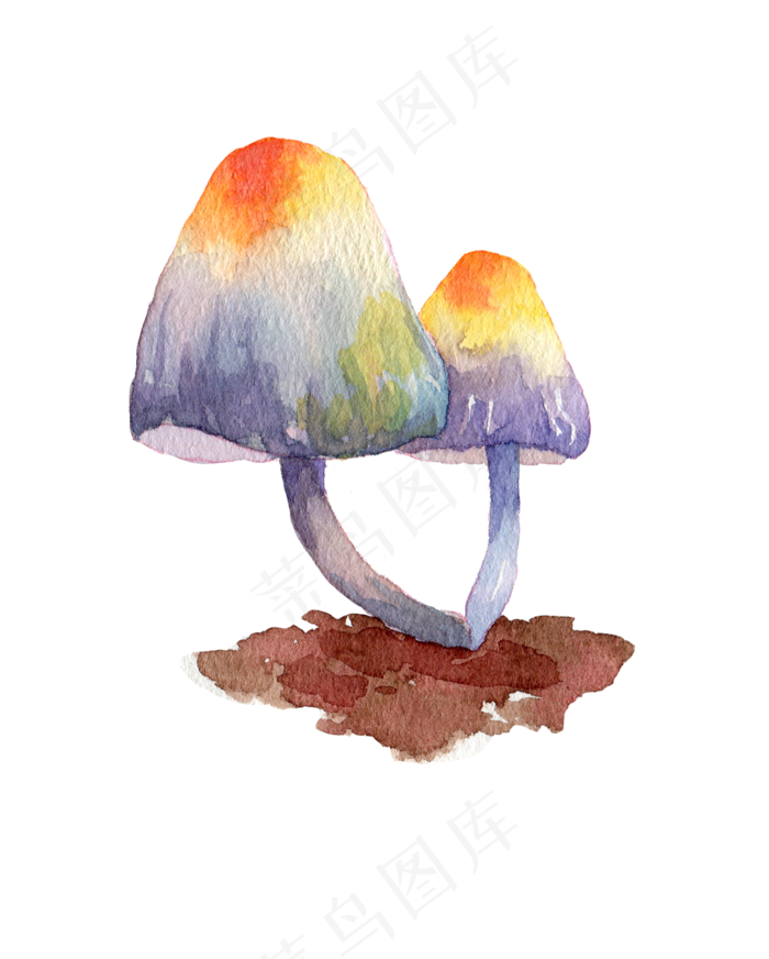 卡通手绘插画水彩秋天秋季菌类