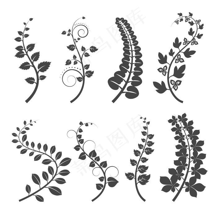 卷曲的树枝，白色背景上有叶子轮廓。用叶子种植树枝。插图