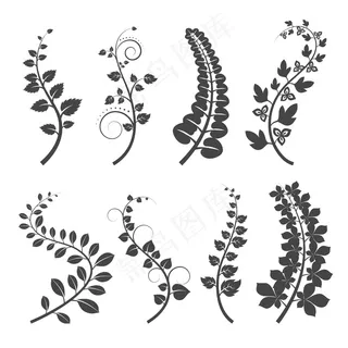 卷曲的树枝，白色背景上有叶子轮廓。用叶子种植树枝。插图