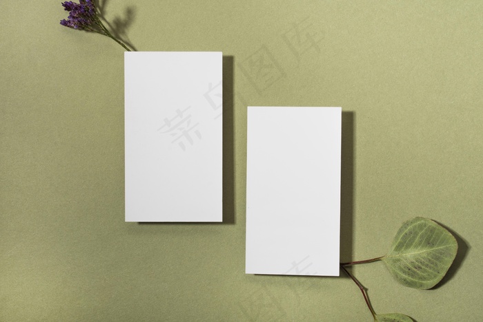 带叶子的顶视图名片