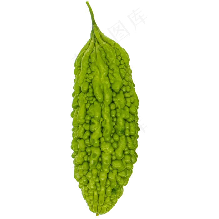 一根苦瓜菜蔬(2000*2000px 300 dpi )