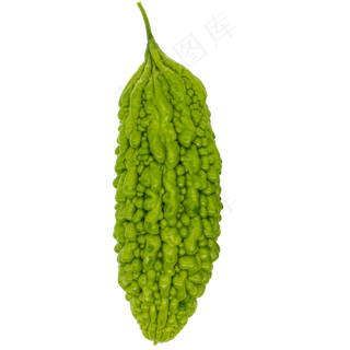 一根苦瓜菜蔬