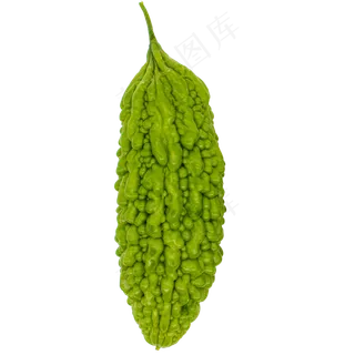 一根苦瓜菜蔬 一根苦瓜菜蔬