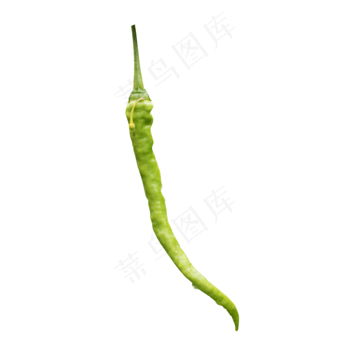 绿色的辣椒
