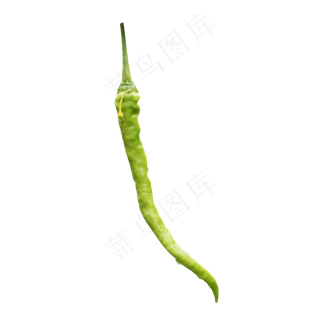 绿色的辣椒