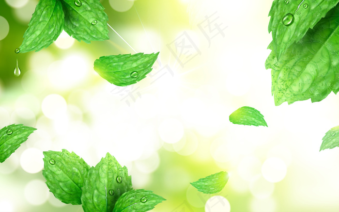 薄荷色背景，清新的树叶与强烈的阳光隔离在早晨的公园场景，三维插图