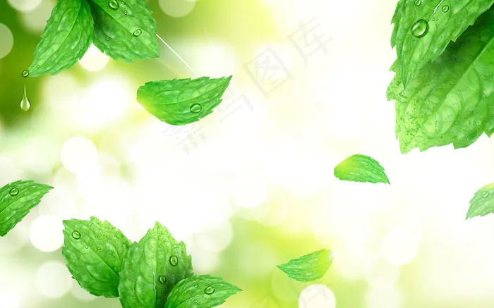 薄荷色背景，清新的树叶与强烈的阳光隔离在早晨的公园场景，三维插图