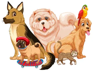 在白色背景上的宠物组