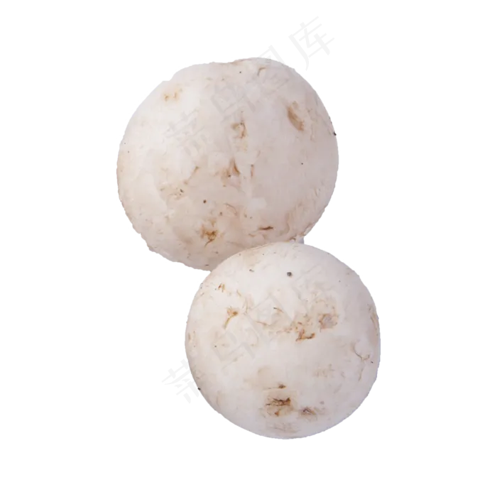 白蘑菇（png免抠）(2000X2000(DPI:72))psd模版下载