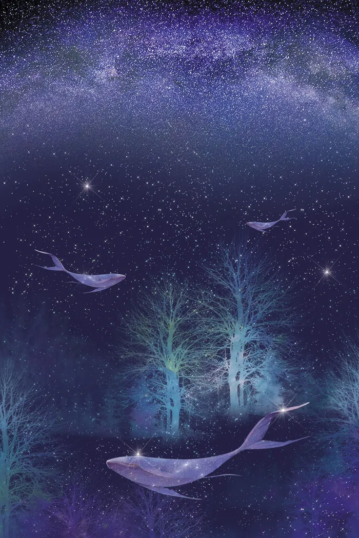 唯美鲸鱼浮游星空图片