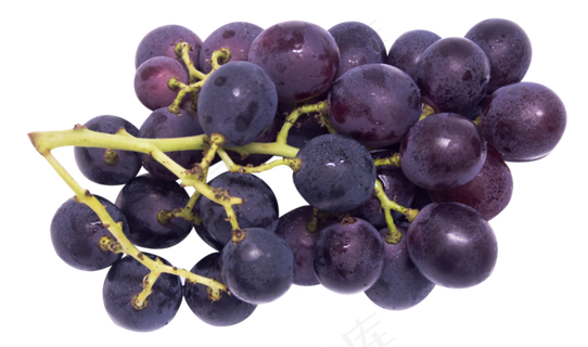新鲜葡萄