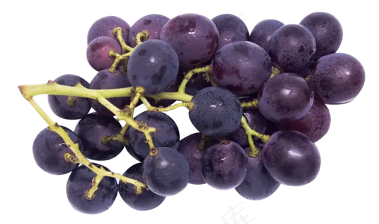 新鲜葡萄