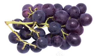 新鲜葡萄
