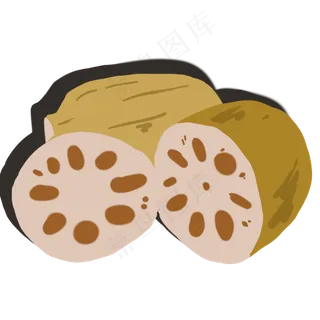 藕节根茎白茎植物