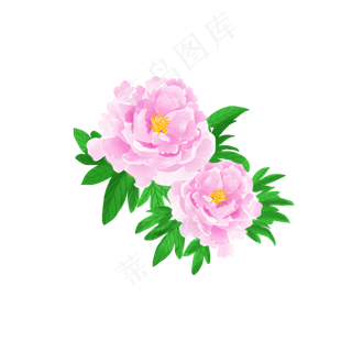 商用节日花卉国花水彩粉色富贵花