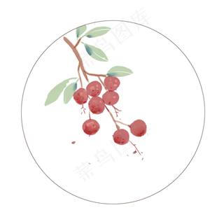 植物二十四节气夏至