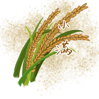 二十四节气之小满装饰图案,免抠元素