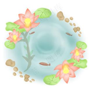 夏季在水中绽放的荷花