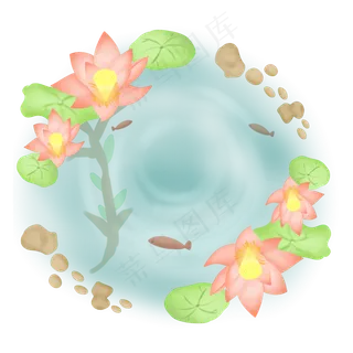 夏季在水中绽放的荷花